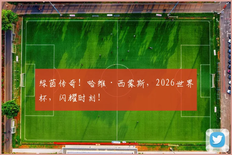 绿茵传奇!哈维·西蒙斯,2026世界杯,闪耀时刻!