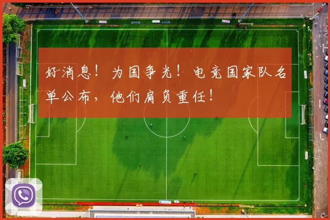 好消息!为国争光!电竞国家队名单公布,他们肩负重任!