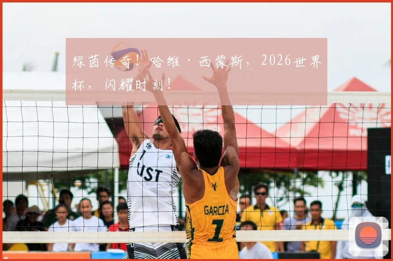 绿茵传奇!哈维·西蒙斯,2026世界杯,闪耀时刻!