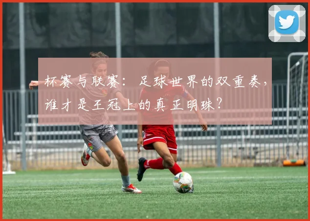 杯赛与联赛:足球世界的双重奏,谁才是王冠上的真正明珠?