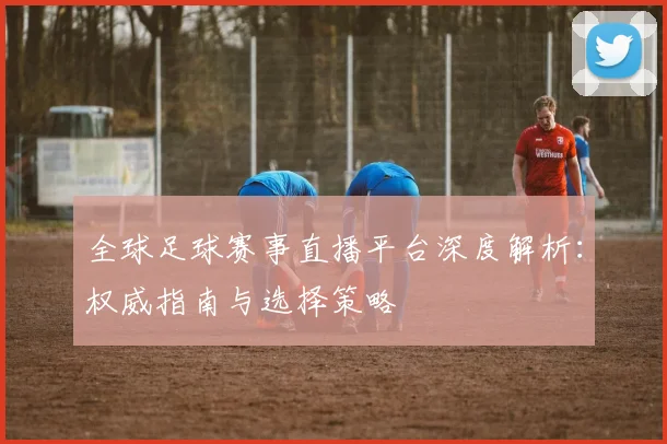 全球足球赛事直播平台深度解析:权威指南与选择策略