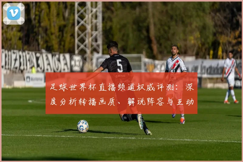 足球世界杯直播频道权威评测:深度分析转播画质、解说阵容与互动体验